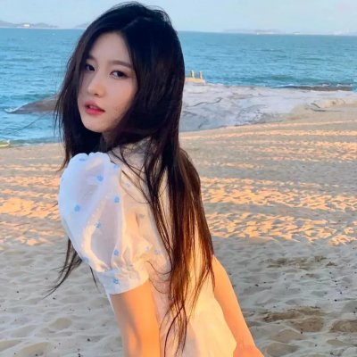 黑之契约者2:流星的双子